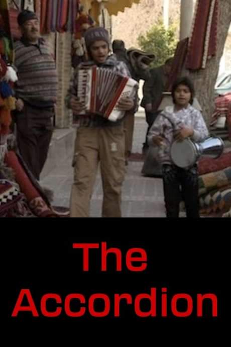 The Accordion